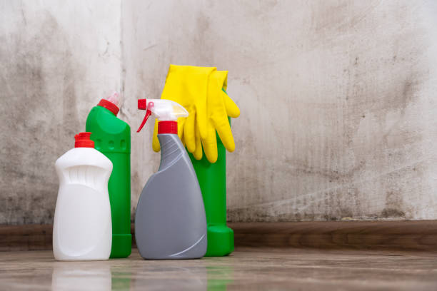 Best Mold Odor Removal Services  in Wilkes Barre, PA